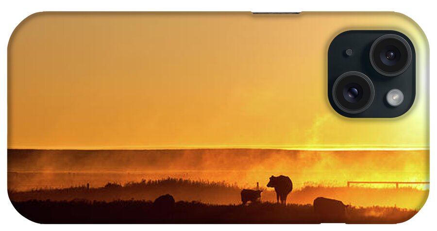 Scenics iPhone Case featuring the photograph Cattle Silhouette Panorama by Imaginegolf