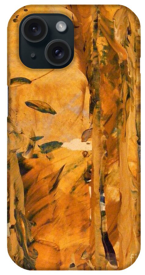 Acrylic Painting iPhone Case featuring the painting Cave of Gold by Nancy Kane Chapman