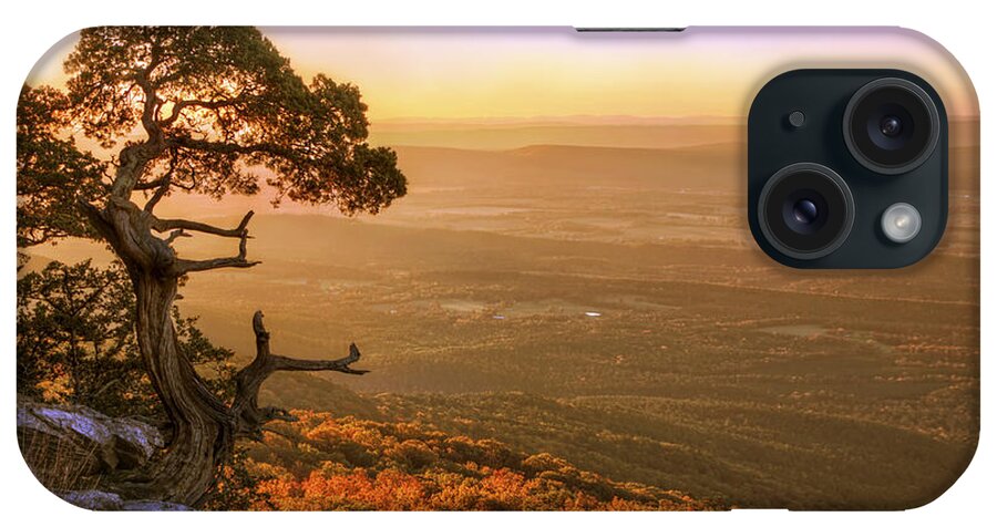 Mt. Magazine iPhone Case featuring the photograph Cedar Tree atop Mt. Magazine - Arkansas - Autumn by Jason Politte
