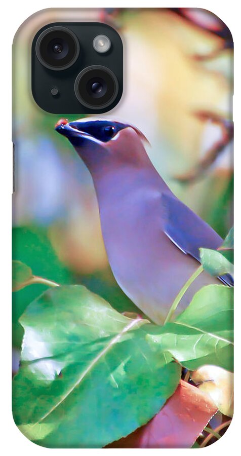 Cedar Waxwing iPhone Case featuring the photograph Cedar Waxwing by Kerri Farley