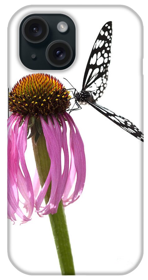 Butterfly iPhone Case featuring the photograph Celebration by Patty Colabuono