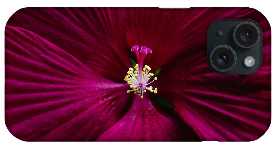 Botanical iPhone Case featuring the photograph Center Folds by Christi Kraft