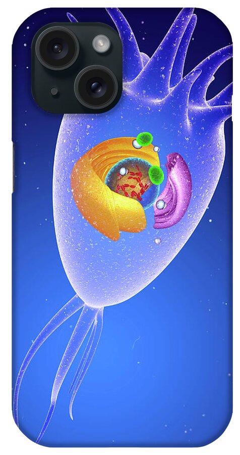 Artwork iPhone Case featuring the photograph Central Nervous System Cell by Roger Harris/science Photo Library