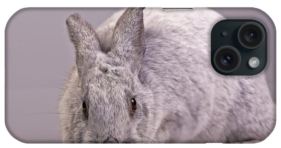 Mammal iPhone Case featuring the photograph Champagne D'Argent by Jack Milchanowski