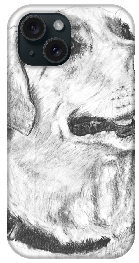 Yellow iPhone Case featuring the drawing Charcoal Drawing Yellow Lab in Profile by Kate Sumners