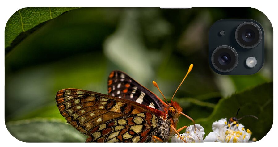 Macro iPhone Case featuring the photograph Checkerspot Sipping Nectar by Kathleen Bishop