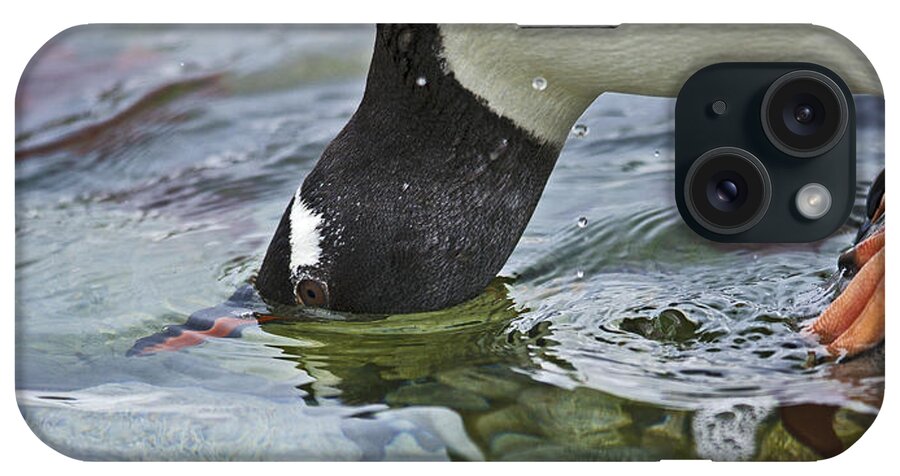 Festblues iPhone Case featuring the photograph Checking for Orca... by Nina Stavlund