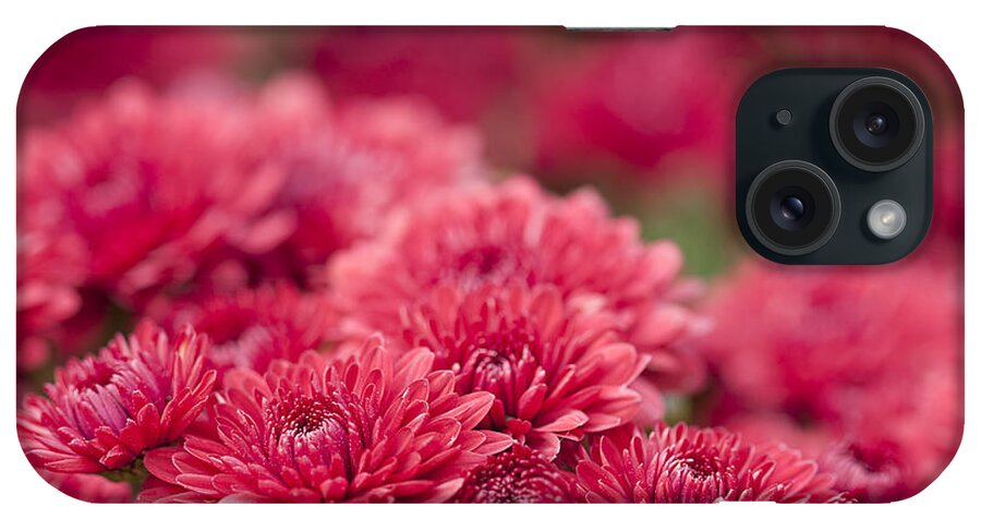 Mums iPhone Case featuring the photograph Cheerful by Patty Colabuono