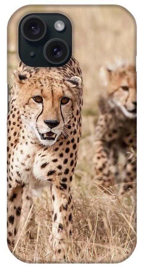 Kenya iPhone Case featuring the photograph Cheetah And Cub by Ken Petch