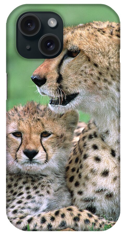 00345036 iPhone Case featuring the photograph Cheetah Mother And Cub by Yva Momatiuk John Eastcott