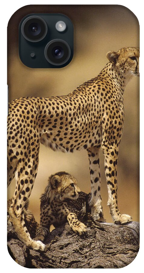 Feb0514 iPhone Case featuring the photograph Cheetah Mother With Adolescent Samburu by Gerry Ellis