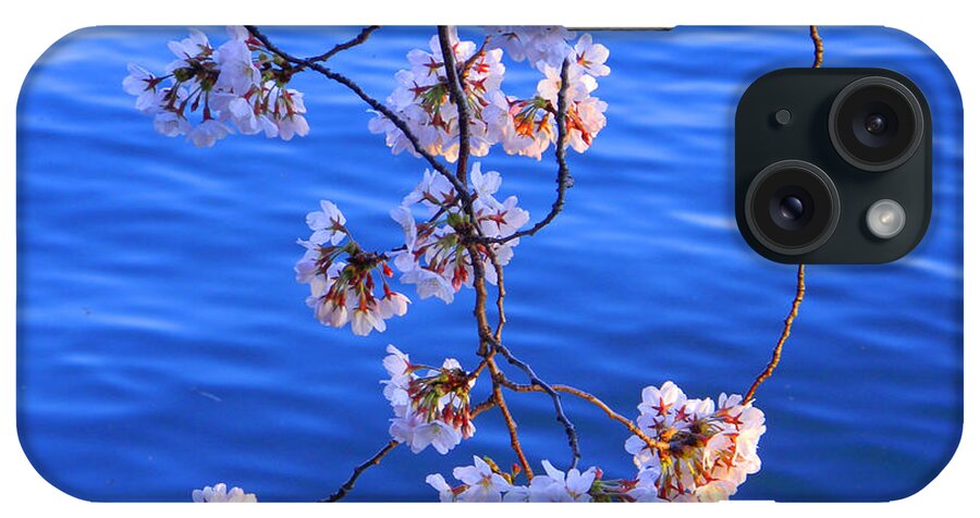 Tidal Basin iPhone Case featuring the photograph Cherry Blossoms Hanging Over Tidal Basin by Emmy Marie Vickers