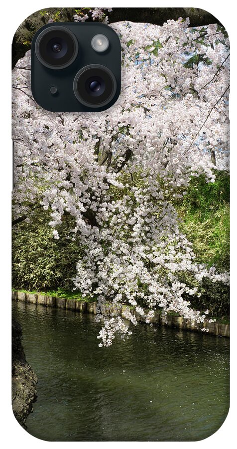 Photography iPhone Case featuring the photograph Cherry Trees And Blossoms Near Outer by Panoramic Images
