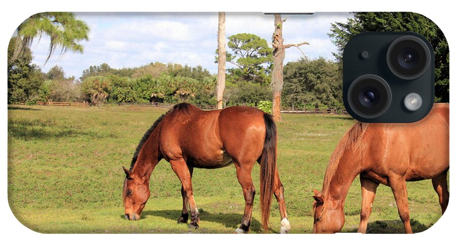 Horse iPhone Case featuring the photograph Chestnut Horses by Rosalie Scanlon