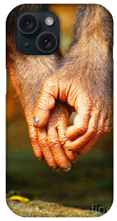 Chimpanzee iPhone Case featuring the photograph Chimpanzee Hands by Art Wolfe