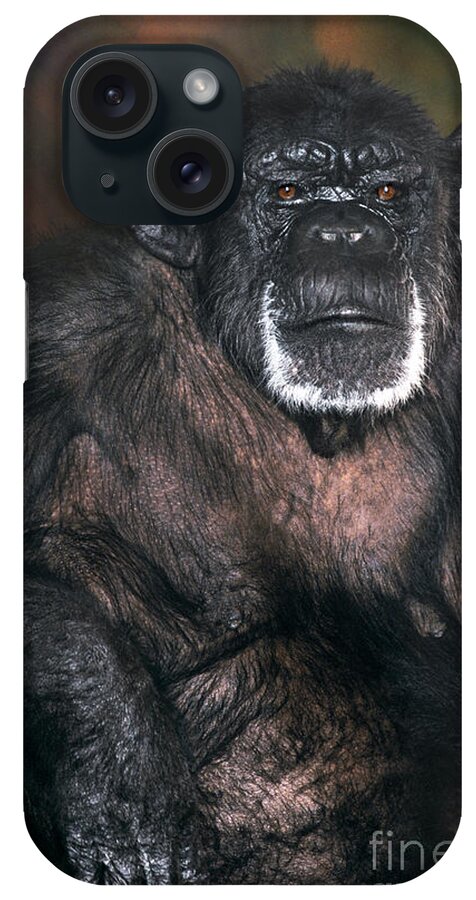 Chimpanzee iPhone Case featuring the photograph Chimpanzee Portrait Endangered Species Wildlife Rescue by Dave Welling