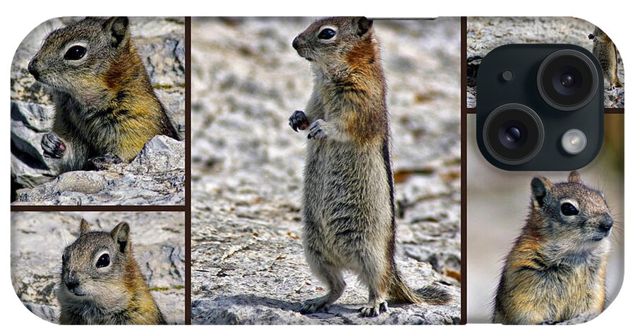 Chipmunk iPhone Case featuring the photograph Chipmunk Collage by Lynn Bolt