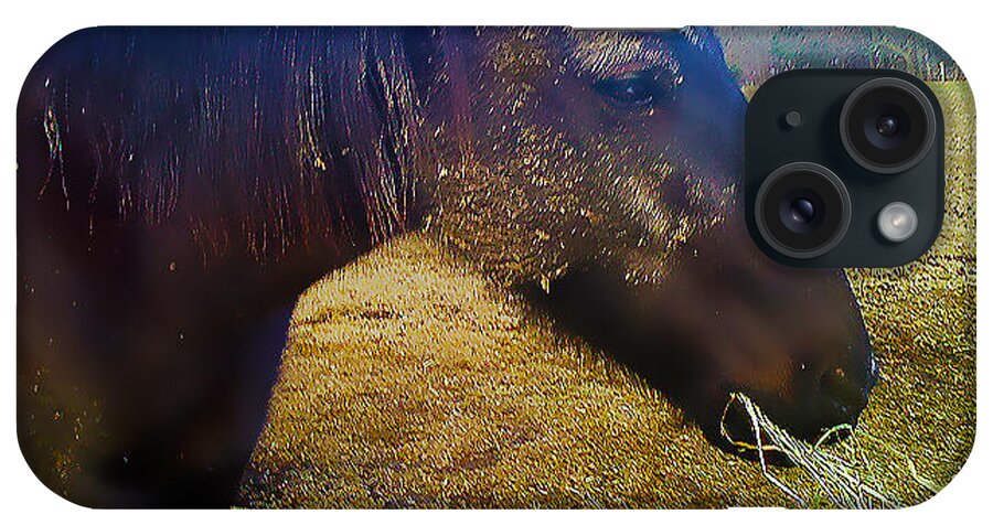 Horse iPhone Case featuring the photograph Chow Time by Linda N La Rose