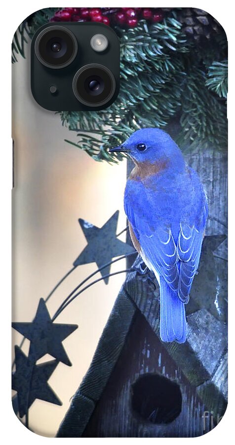 Nature iPhone Case featuring the photograph Christmas Bluebird by Nava Thompson
