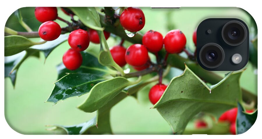 Nature iPhone Case featuring the photograph Christmas Holly by Gerry Bates