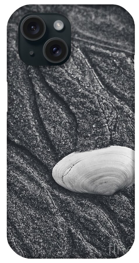 Clam iPhone Case featuring the photograph Clam Shell by Alana Ranney