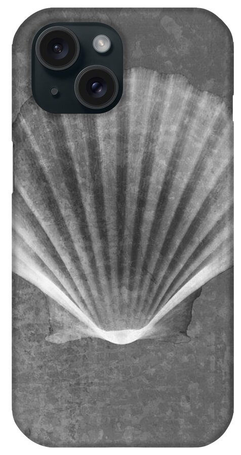 X-ray Art iPhone Case featuring the photograph Clam Sea Shell X-ray Art by Roy Livingston