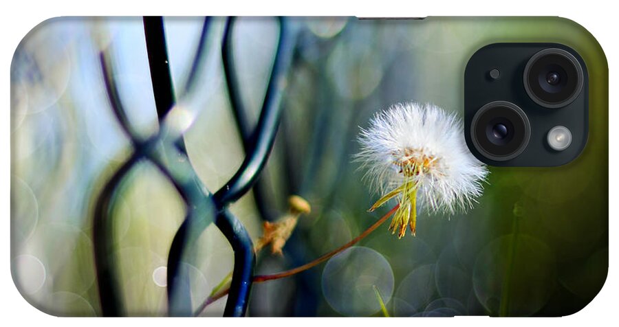 Flower.dandelion iPhone Case featuring the photograph Clash Of The Titans by Laura Fasulo