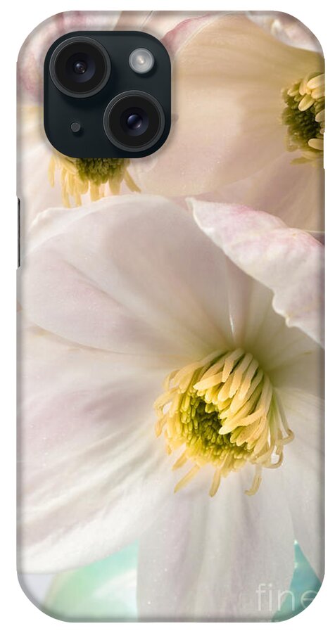 Clematis iPhone Case featuring the photograph Clematis Flowers 2 by Jan Bickerton