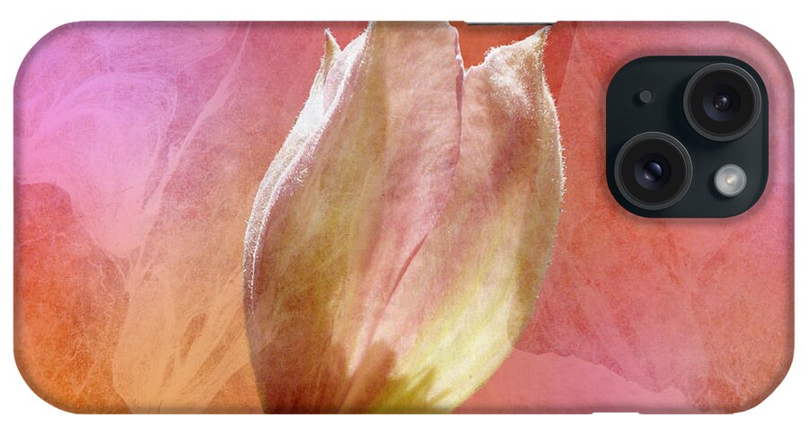 Clematis iPhone Case featuring the photograph Clematis Opening by Lynn Bolt