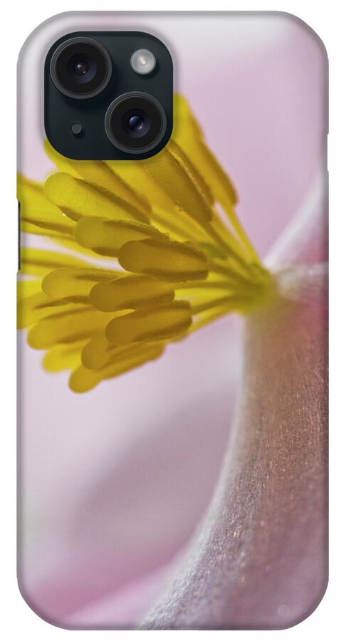 Close Up iPhone Case featuring the photograph Close Up Of Begonia Blooming Astoria by Robert L. Potts
