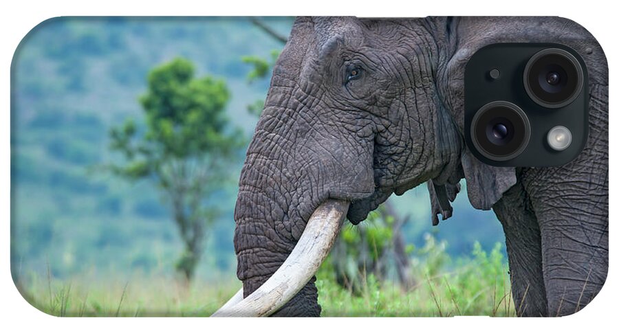 Kenya iPhone Case featuring the photograph Closeup Shot Of An Old Elephant In The by Guenterguni