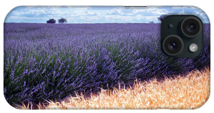 Planata iPhone Case featuring the photograph Clouds Over Lavender Plantation by David Santiago Garcia