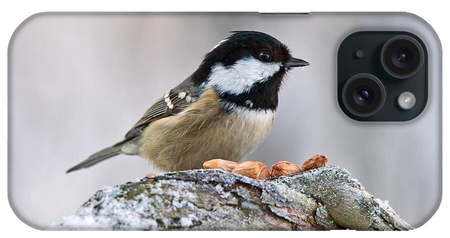 Coal Tit And The Peanuts iPhone Case featuring the photograph Coal Tit and the peanuts by Torbjorn Swenelius