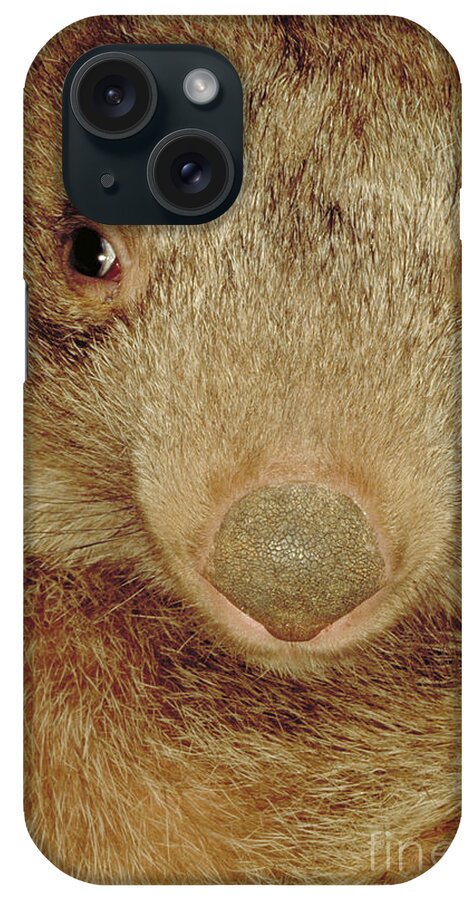 Vertical iPhone Case featuring the photograph Coarse Haired Wombat, Australia by Art Wolfe