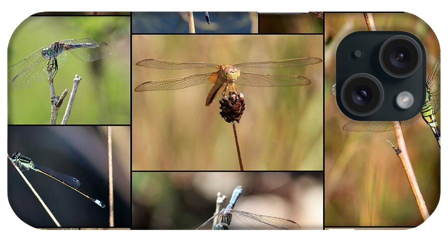 Dragonfly iPhone Case featuring the photograph Collage Marsh Life by Carol Groenen