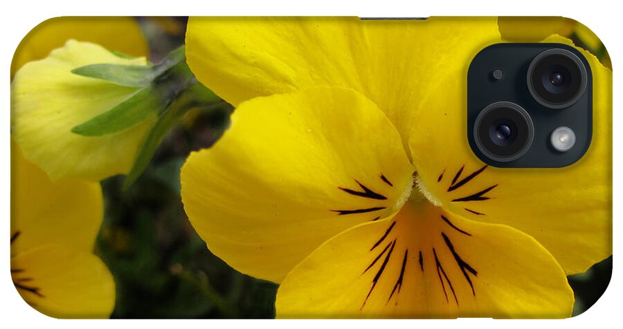 Nature iPhone Case featuring the photograph Color Me Yellow by Arlene Carmel