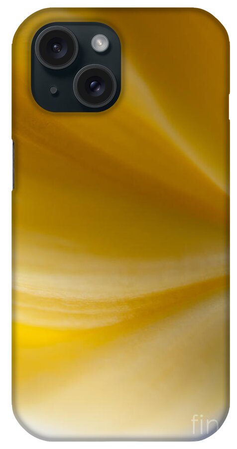 Warmth iPhone Case featuring the photograph Color of Warmth by Sue OConnor