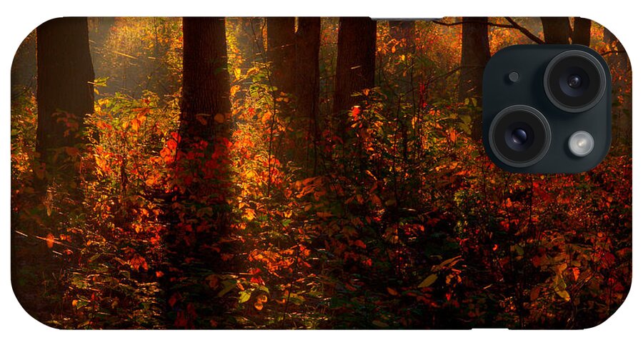 2008 iPhone Case featuring the photograph Color on the Forest Floor by Robert Charity