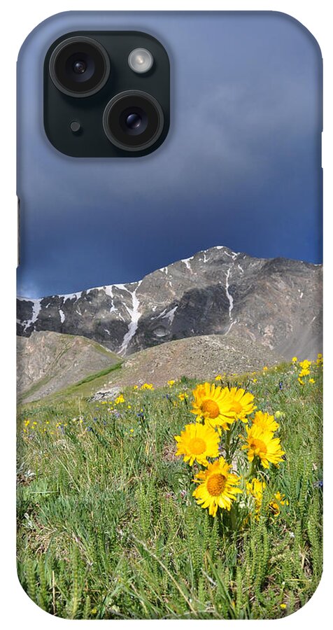 Colorado iPhone Case featuring the photograph Colorado Beauty by Aaron Spong