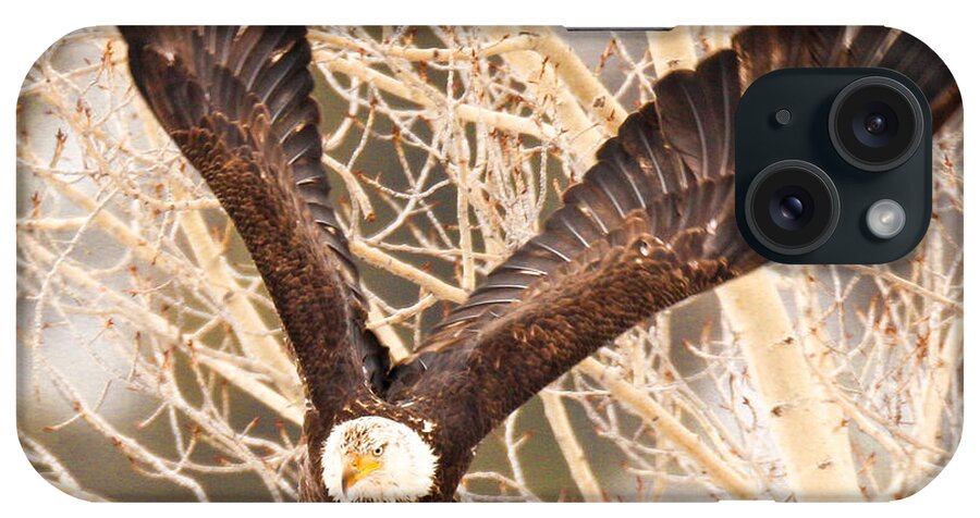 Eagle iPhone Case featuring the photograph Colorado River by Kevin Dietrich