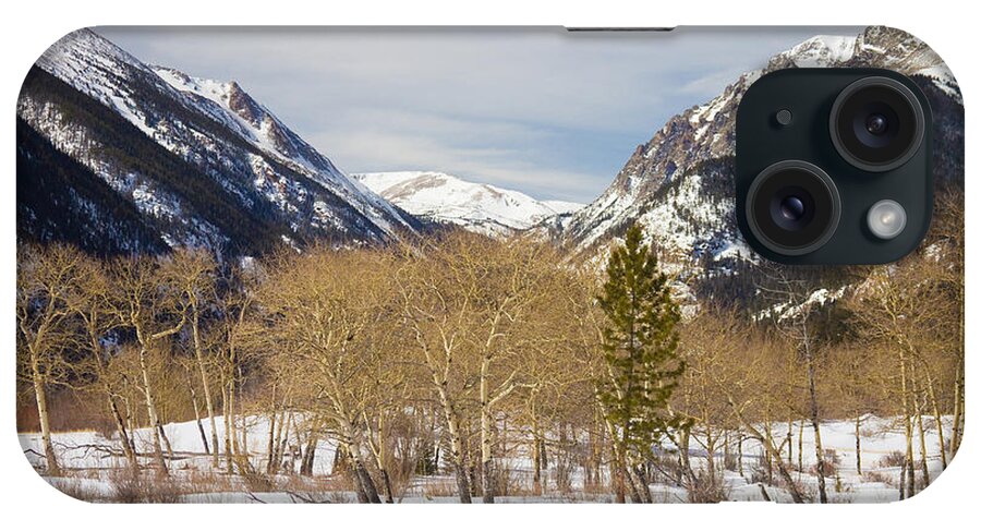 Trees iPhone Case featuring the photograph Colorado Rocky Mountain Winter Horseshoe Park by James BO Insogna