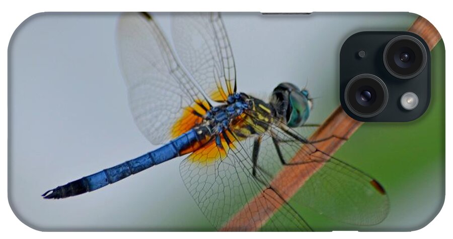 Colorful iPhone Case featuring the photograph Colorful Blue and Yellow Dragonfly Close-up on Navarre Beach by Jeff at JSJ Photography