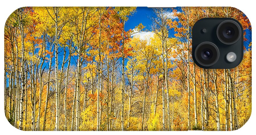 Aspen iPhone Case featuring the photograph Colorful Colorado Autumn Aspen Trees by James BO Insogna