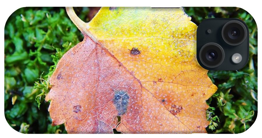 Fall iPhone Case featuring the photograph Colorful fall leaf by Karin Ravasio