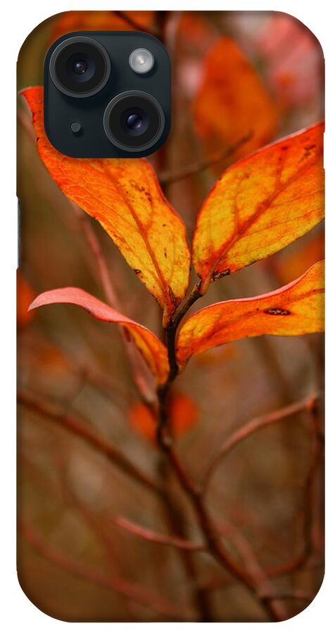 Autumn iPhone Case featuring the photograph Colorful Leaves by Karen Harrison Brown