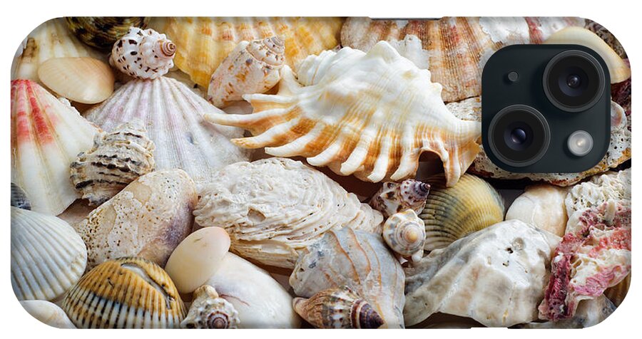 Seashell iPhone Case featuring the photograph Colorful Ocean Seashells 1 by Andee Design