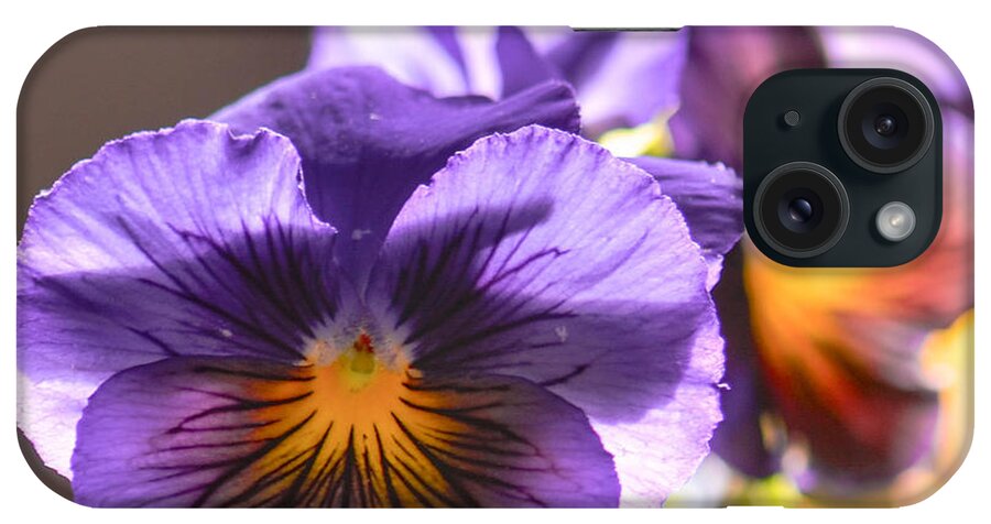 Pansy iPhone Case featuring the photograph Colorful Pansy Palette by Amy Porter