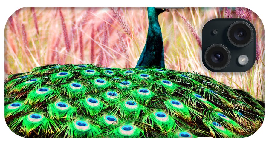 Colorful iPhone Case featuring the photograph Colorful Peacock by Matt Quest