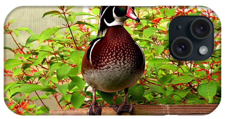 Duck iPhone Case featuring the photograph Colorful Wood Duck by Jan Marvin