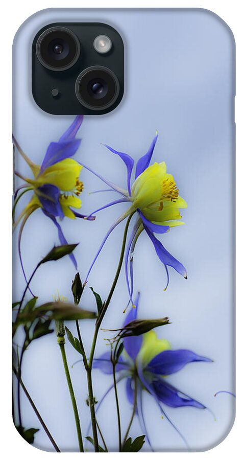 Columbine Flowers iPhone Case featuring the photograph Columbines by Peter V Quenter